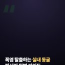 봉화드림펜션 | 모닝와이드 오픈러쉬 동굴: 여름 실내 피서지 예약, 주차, 투명카약 꿀팁