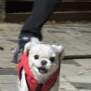 관절나라 네이버블로그