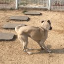 평산유치원 이미지