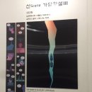 &lt;오늘도 사랑스럽개&gt; 이혜 작가님 토크쇼 사인회 및 SICAF 후기