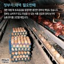 안경식농장 이미지