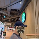 하모니 헬스장 | 얼굴 작아 보이는 볼캡브랜드 찾다가 구입한 트래픽하모니 블랙 모자 후기