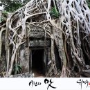 올드팝스 이미지