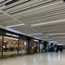 [서울/김포공항] 퀴즈노스 허니머스터드 치킨 샌드위치 &amp; 포테이토스프 후기 🥪🍲