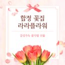 합정 꽃집 라라플라워에서 축하선물 준비한 후기, 감성까지 만족스러웠던 곳