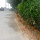 규암면사무소