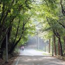 둘레길동물병원 이미지