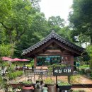 마음심한의원 | [영월 연꽃카페] 절경을 품은 '세심다원'에서 고소한 미숫가루 빙수 한 그릇