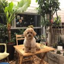 순독살롱 이미지