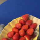 유산 | 계류유산, 소파술 후기