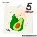 수아인동물병원 | [임신일기]16주~17주 국내태교여행, 깜짝베이비샤워