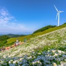 6월 25일 평창 청옥산에 갑니다. (육백 마지기) 이미지