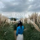 낙동강관리본부-1 | 부산 가을 나들이 추천 장소 “대저생태공원” 방문 후기 (팜파스, 핑크 뮬리, 갈대, 포토존, 주차장 등)