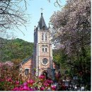 성당한우농장 이미지