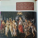 미술관에 간 해부학자 티스토리
