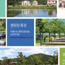 수목화 송정마을 오토캠핑장 이미지