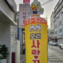 오리사랑꾼