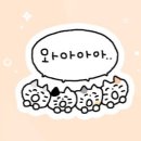 신세계파크골프 이미지