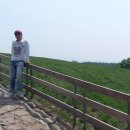 전나무목장 이미지