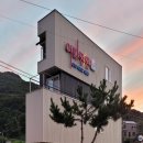 아띠댕댕 네이버블로그