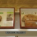 창녕생태곤충원 이미지