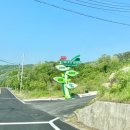 충남 천안산들바람글램핑장 카라반 다녀온 후기