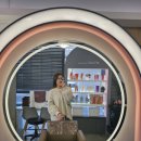 멍뭉이 살롱 | 다산미용실추천 마이데이헤어살롱에서 시카단백질클리닉 찐후기