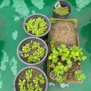 선한이웃요양병원 이미지