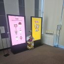 정읍시립박물관 | 정읍여행# 정읍시립박물관 아이들이 좋아하는 방문후기(무료입장)