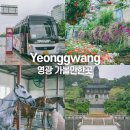 영광향교 | 전남 영광 가볼만한곳 주말 당일치기 뚜벅이 여행 버스투어 갈만한곳 추천