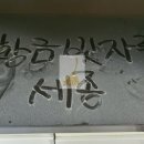 세이프애니펫 네이버블로그