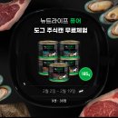 검프코리아 이미지