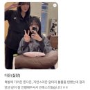 다은니트 | 운정미용실 2025 겨울 트랜드 톤다운 염색 딥매트브라운🤎 아이디헤어 산내점 다은실장님