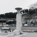 영광이네 이미지