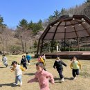 [숲유치원🌳]1차시 도란도란 숲 마실 이미지