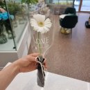 홍성케이크 가성비 최고 더슈플레르 후기