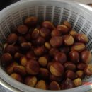 풀향기머무는집 이미지