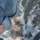 스테이 어라운드 이미지