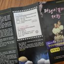 패랭이꽃의 저항 네이버블로그