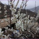 선사진실 이미지