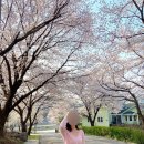[충남 1박2일여행] 가족커플코스 추천: 논산 선샤인랜드, 선진가든, 아산 당림미술관, 예산시장, 당진...