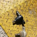 세존카25시 이미지