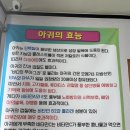포항 브레이크타임 마호텔 | 포항 맛집ㅣ현지인 추천 아구 맛집 내돈내산 솔직후기. 양포생아구 본점