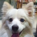 서림동 주민센터 이미지