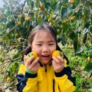 수성유치원 이미지