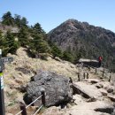 약산초등학교 이미지