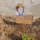 배곧유치원 이미지