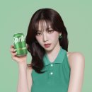 카리나