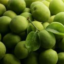 더숲필라테스 이미지