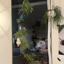 방배천로6길 32-1 | 사당역 감성카페 ‘로우텐션’ | 커피 &amp; 딸기 푸딩 디저트 맛집